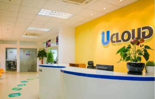 優(yōu)刻得中簽號(hào)公布 在線查詢指南與計(jì)算機(jī)系統(tǒng)技術(shù)服務(wù)的未來展望