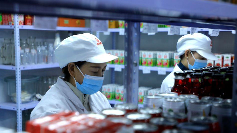 華盛農業 以科技創新為鑰，開啟綠色健康新篇章